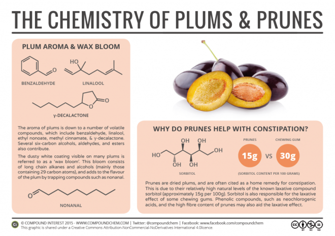 The-Chemistry-of-Plums-Prunes-1024x724