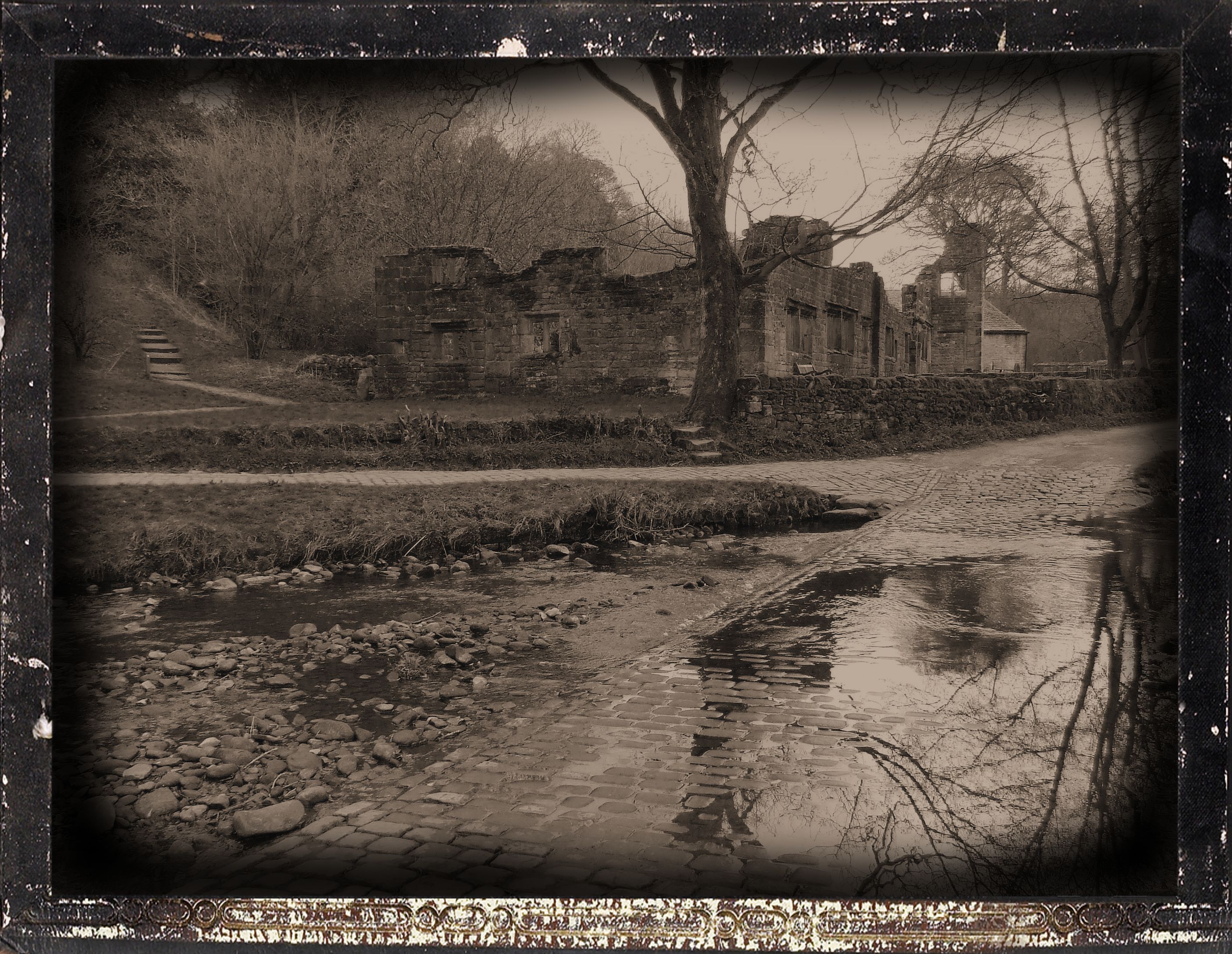 27783834220_54d20d2700_o